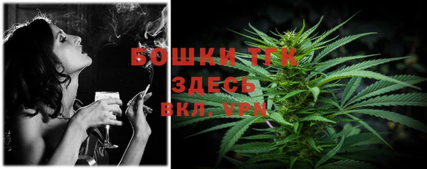 стафф Дмитриев