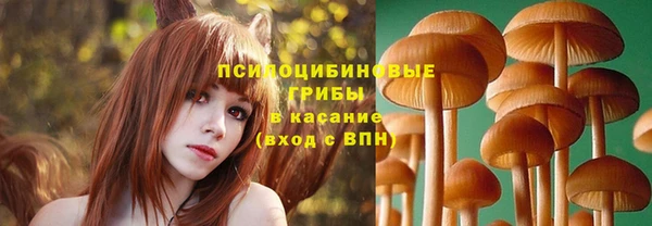 каннабис Дмитровск