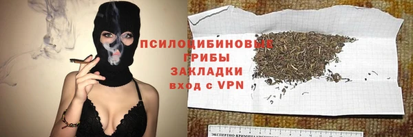 mdpv Дмитров
