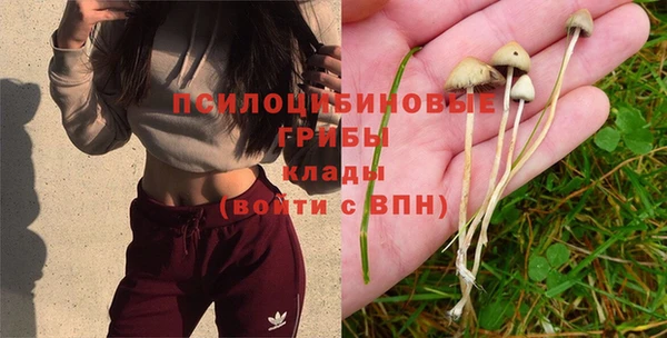 стафф Дмитриев