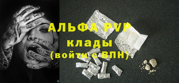 стафф Дмитриев