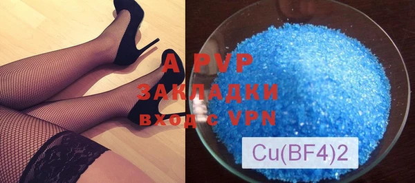 стафф Дмитриев